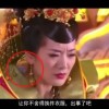 什么生肖掩耳盗铃?
